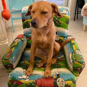 Meet your Posher, Jo